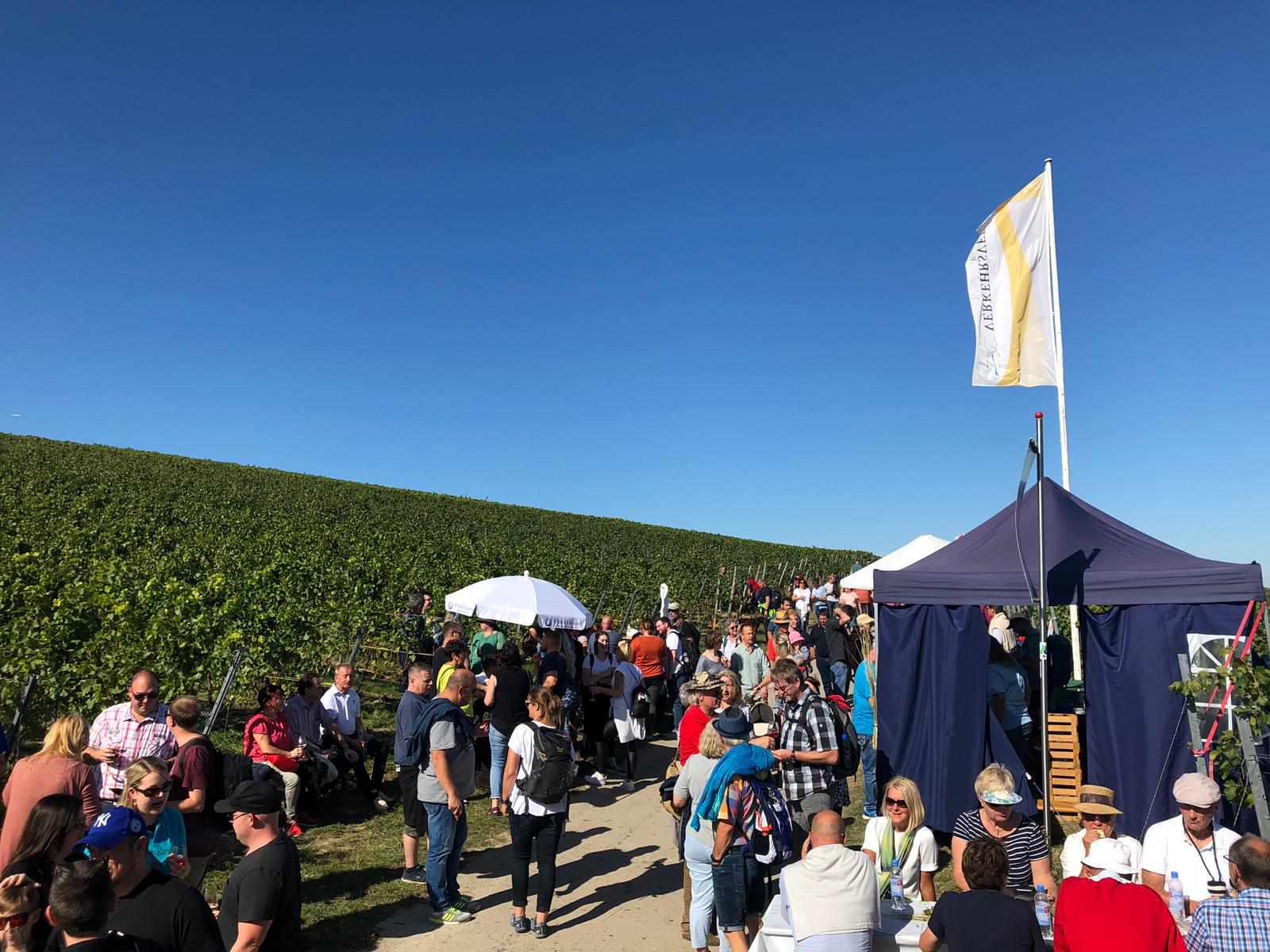 Weingut Arno Kern - Weinprobe am Weinlehrpfad 2019
